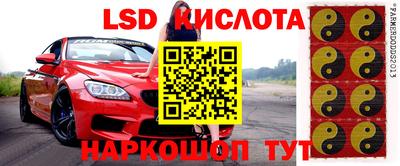 шишки Сланцы