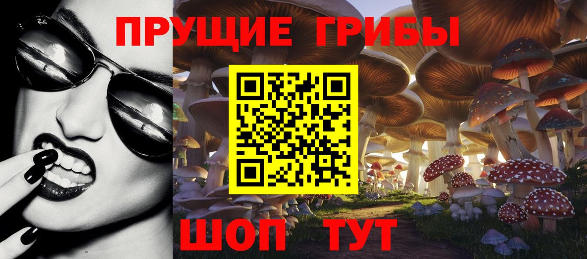 Псилоцибиновые грибы Cubensis Норильск