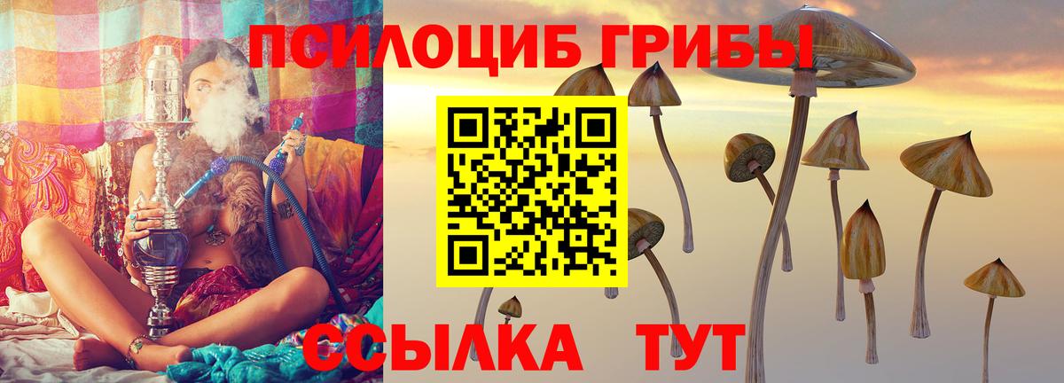 где купить наркотик  Псилоцибиновые грибы мицелий  Норильск  Вход с VPN  Псилоцибиновые грибы мухоморы 